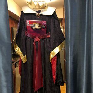 Evil Queen Costume from Disney Villains Collection
